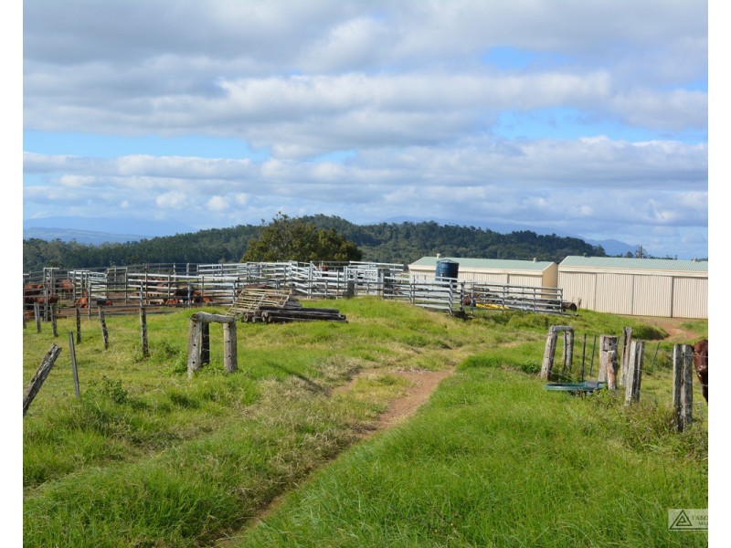 Millaa Millaa QLD 4886