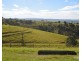 Millaa Millaa QLD 4886