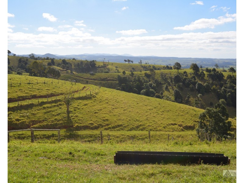 Millaa Millaa QLD 4886