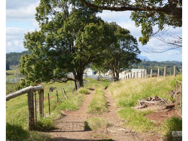 Millaa Millaa QLD 4886
