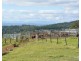 Millaa Millaa QLD 4886