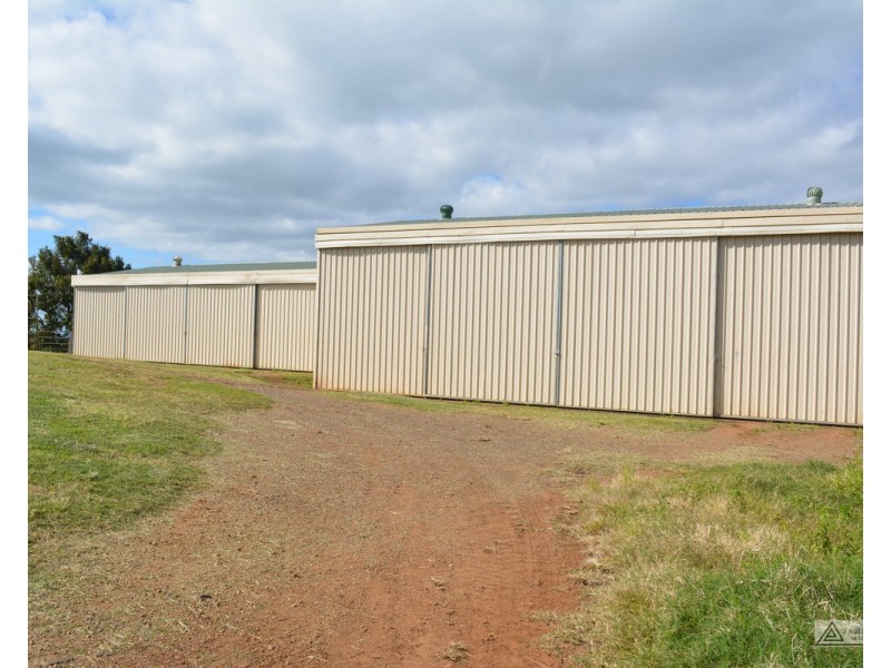 Millaa Millaa QLD 4886