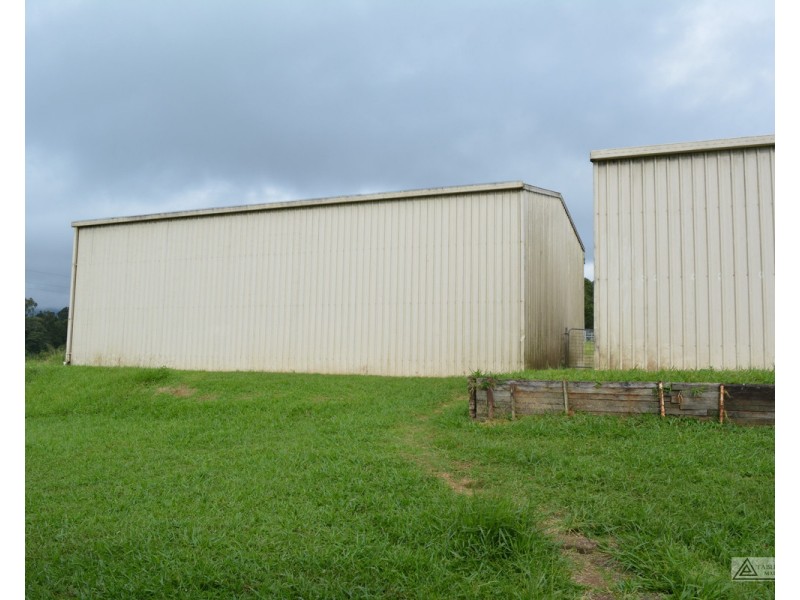 Millaa Millaa QLD 4886