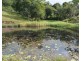 Millaa Millaa QLD 4886