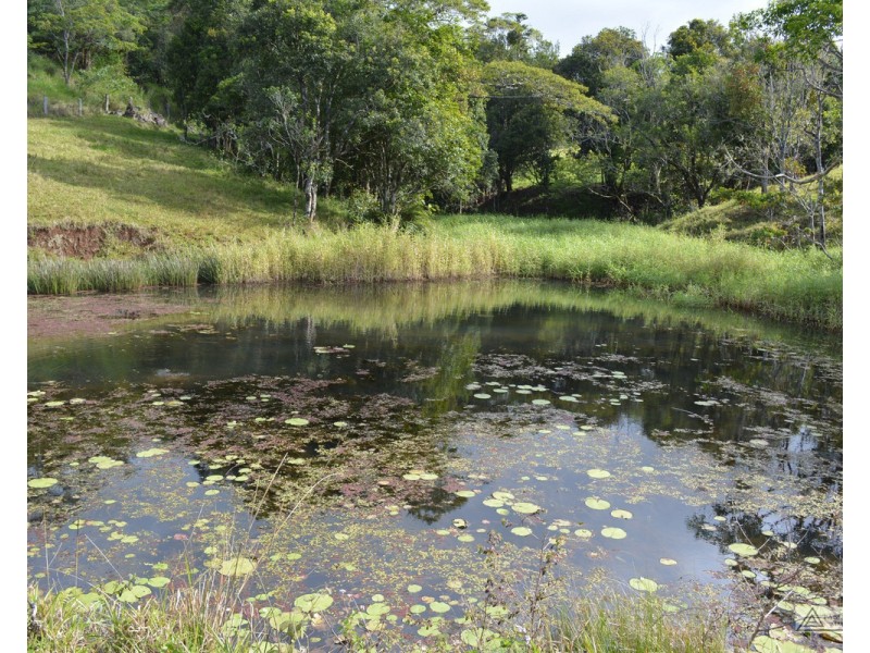 Millaa Millaa QLD 4886