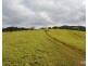 Millaa Millaa QLD 4886