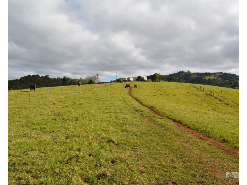 Millaa Millaa QLD 4886