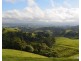 Millaa Millaa QLD 4886