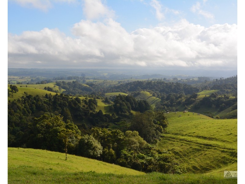 Millaa Millaa QLD 4886