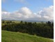 Millaa Millaa QLD 4886
