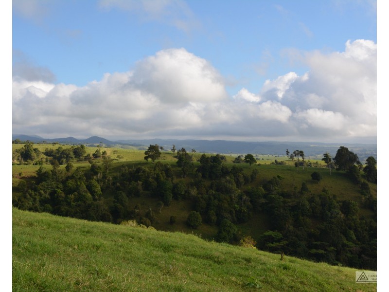 Millaa Millaa QLD 4886