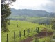 Millaa Millaa QLD 4886