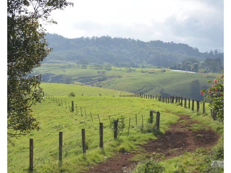 Millaa Millaa QLD 4886