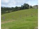 Millaa Millaa QLD 4886