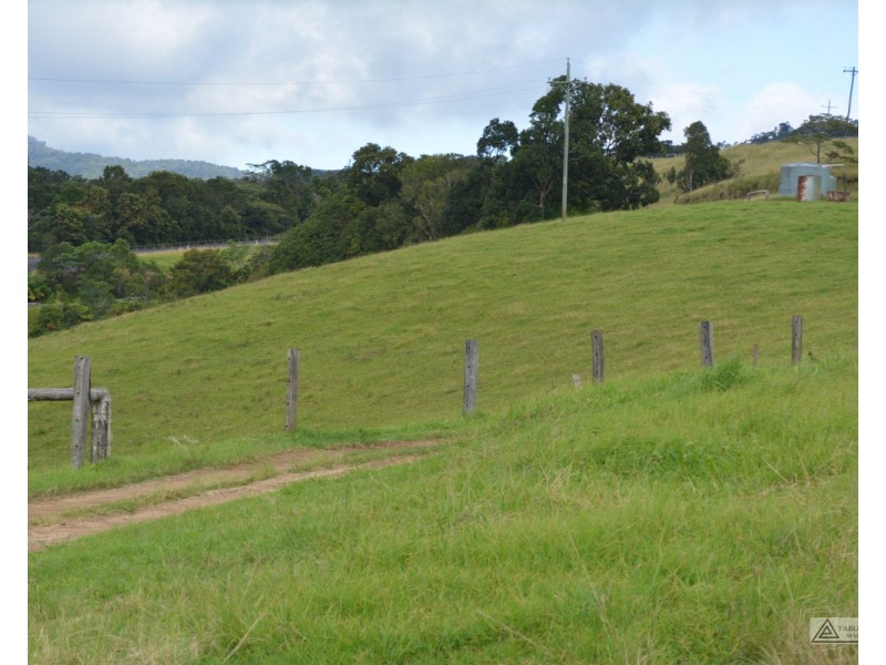 Millaa Millaa QLD 4886