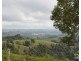 Millaa Millaa QLD 4886