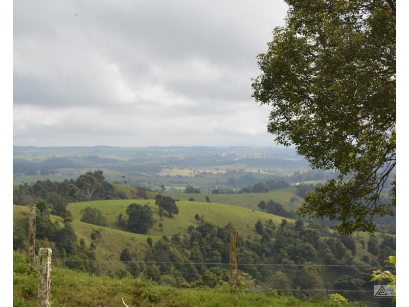 Millaa Millaa QLD 4886