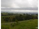 Millaa Millaa QLD 4886