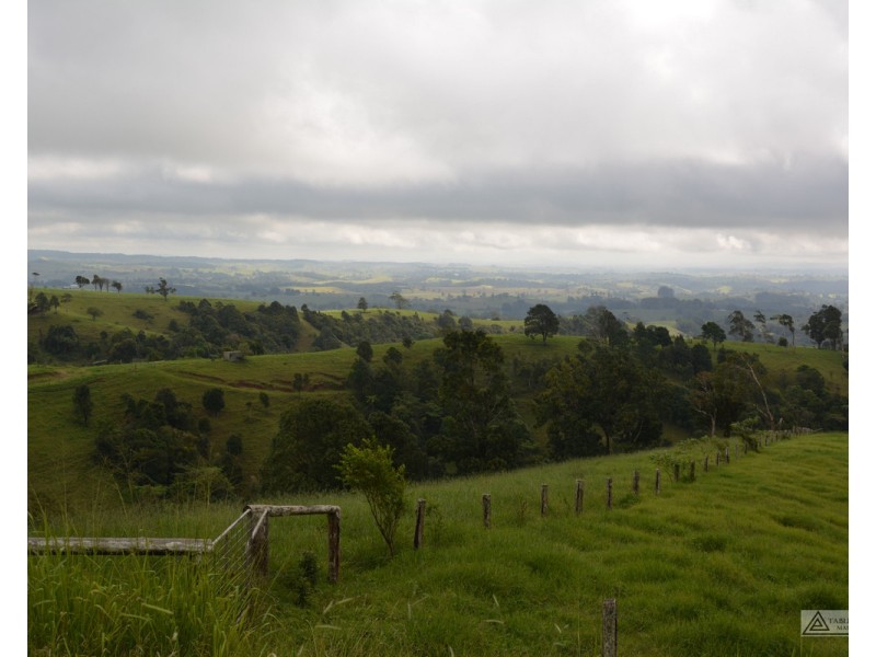 Millaa Millaa QLD 4886