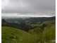 Millaa Millaa QLD 4886