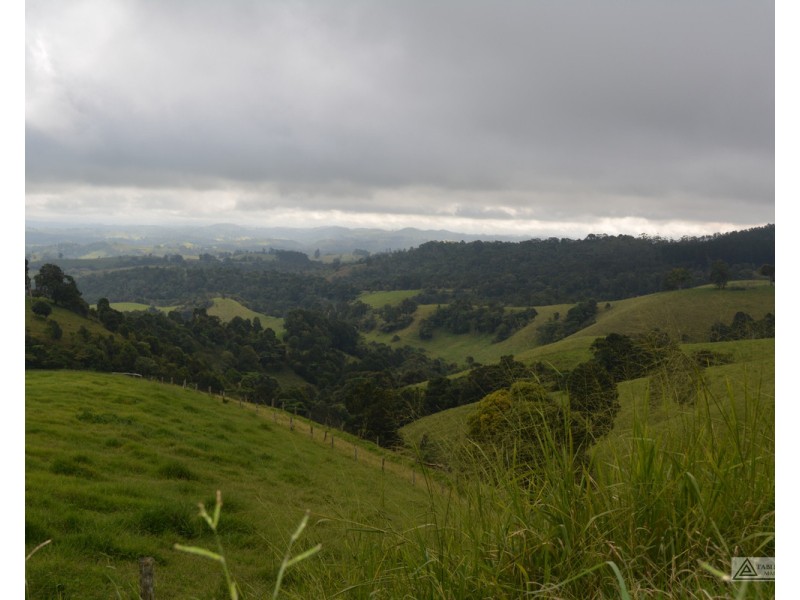 Millaa Millaa QLD 4886