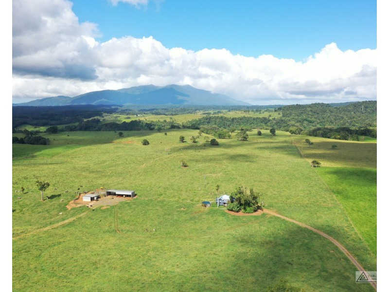 Butchers Creek QLD 4885