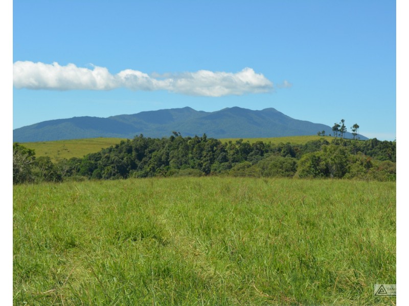 Butchers Creek QLD 4885