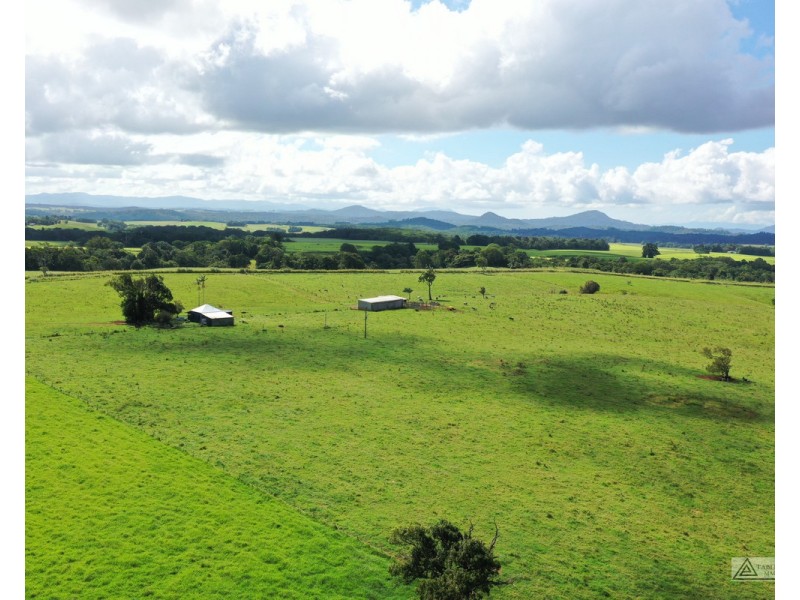 Butchers Creek QLD 4885