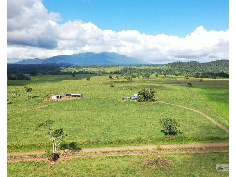 Butchers Creek QLD 4885