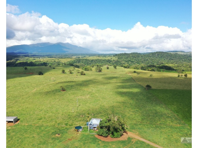 Butchers Creek QLD 4885