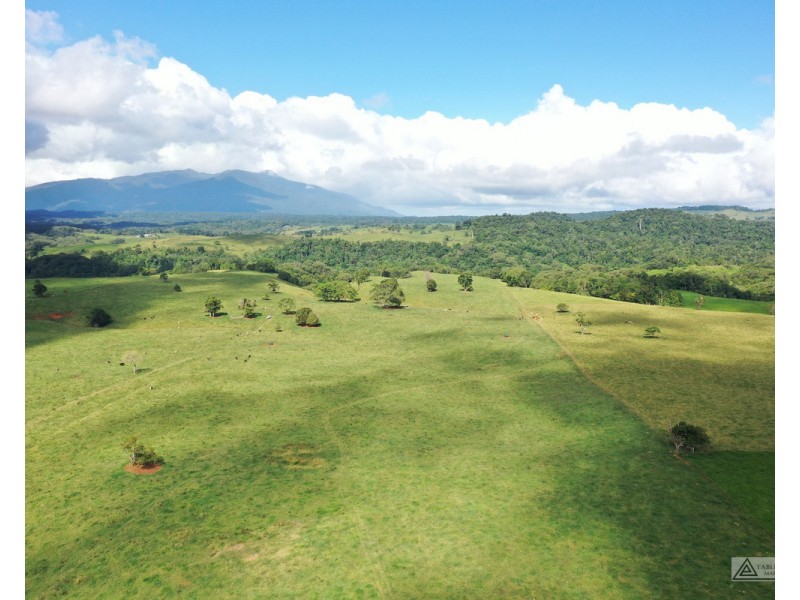Butchers Creek QLD 4885