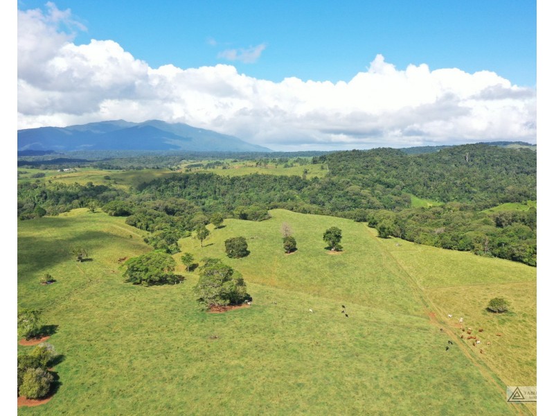 Butchers Creek QLD 4885