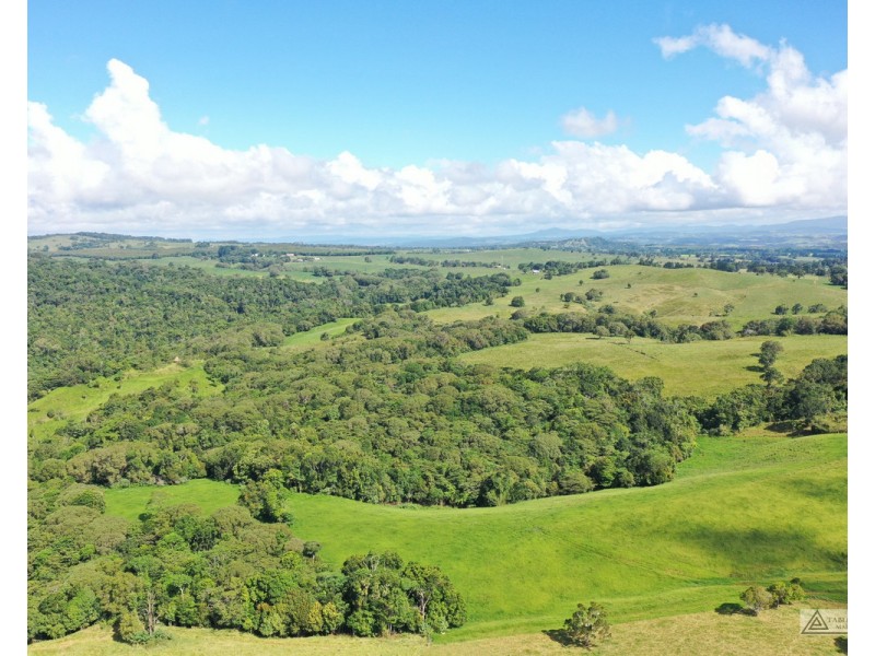 Butchers Creek QLD 4885
