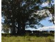 Butchers Creek QLD 4885