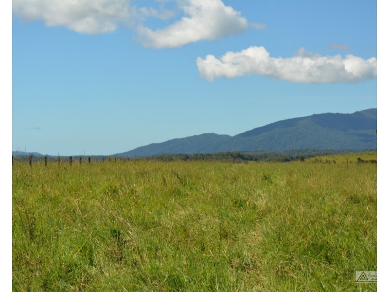 Butchers Creek QLD 4885