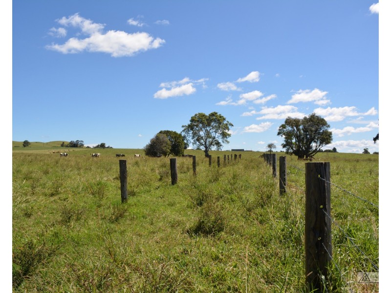 Butchers Creek QLD 4885