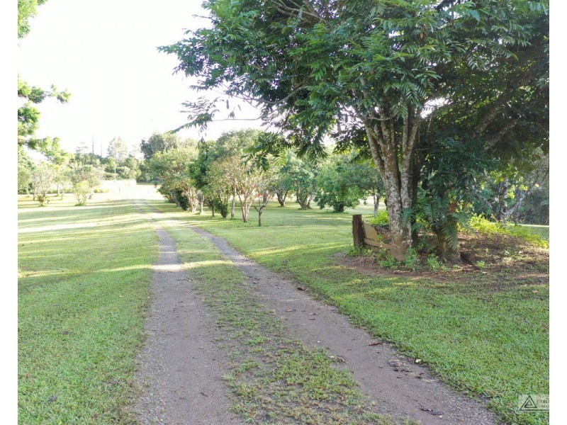 Tarzali QLD 4885