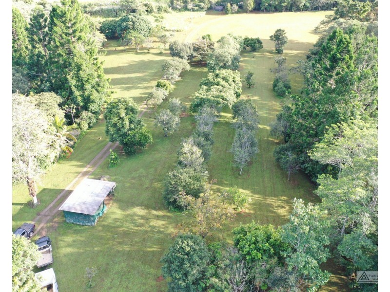 Tarzali QLD 4885
