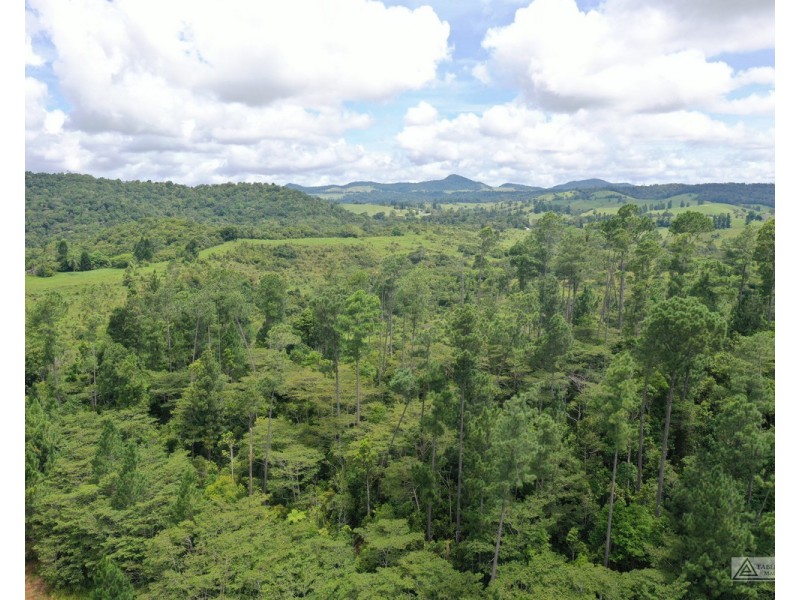 LS1791   145 Middlebrook Road, Millaa Millaa QLD 4886