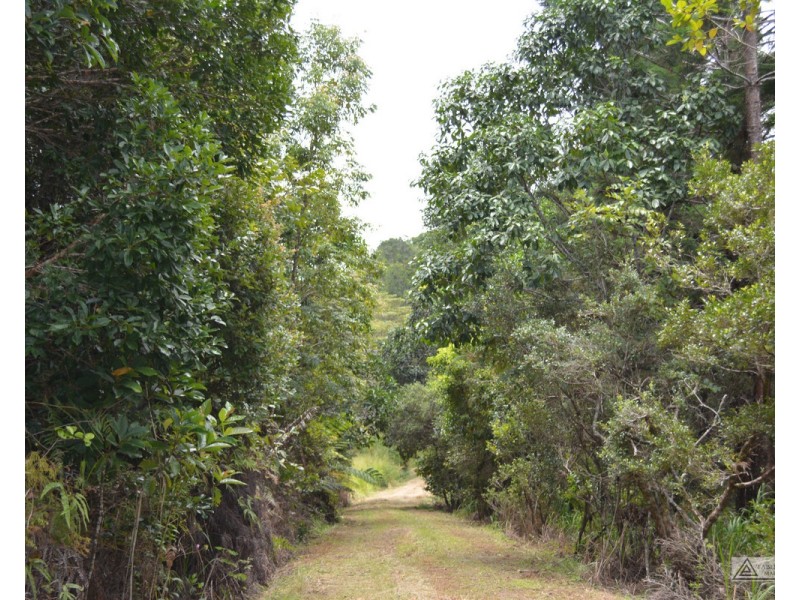 LS1791   145 Middlebrook Road, Millaa Millaa QLD 4886