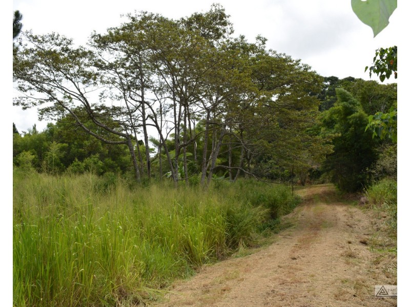 LS1791   145 Middlebrook Road, Millaa Millaa QLD 4886