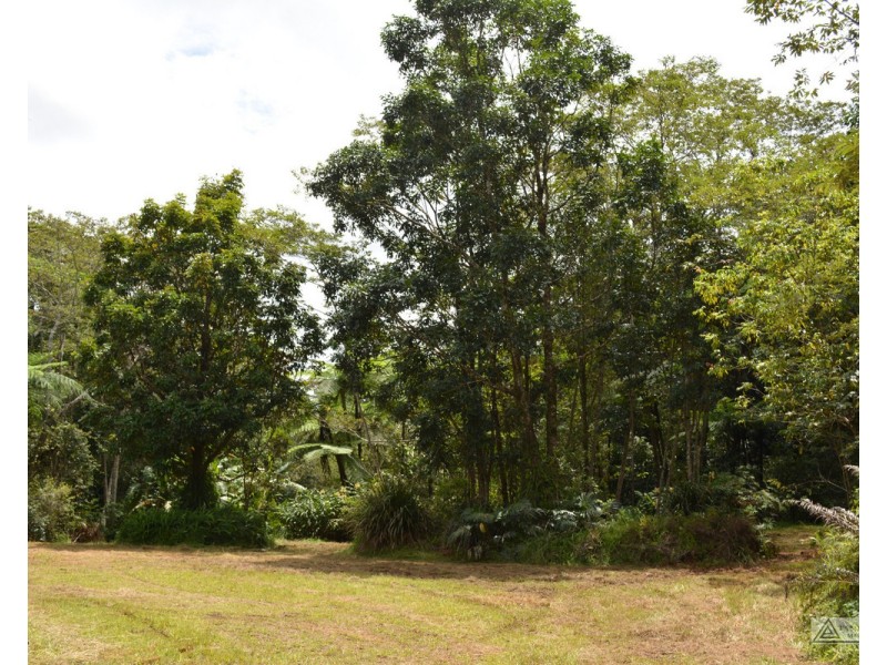 LS1791   145 Middlebrook Road, Millaa Millaa QLD 4886