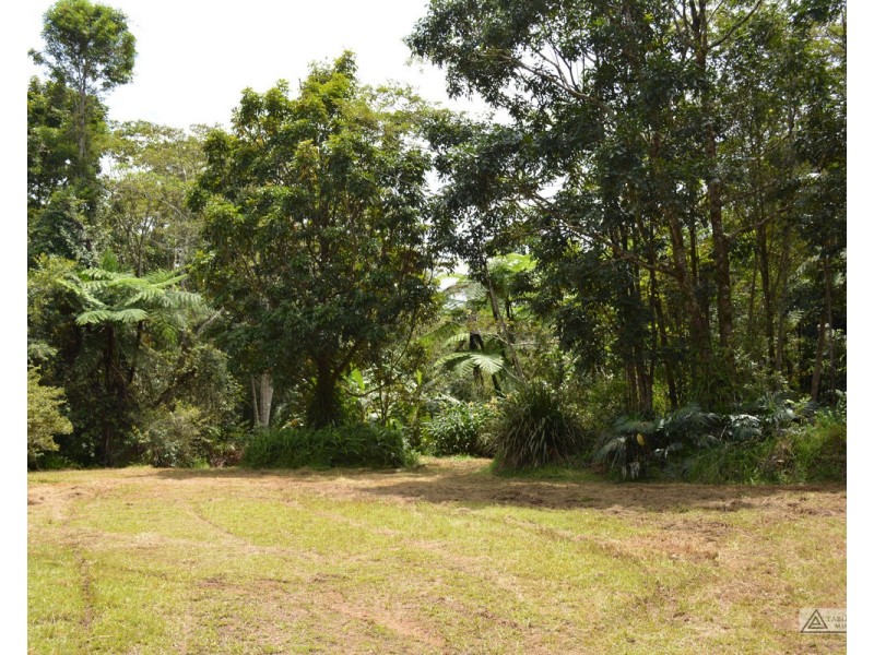 LS1791   145 Middlebrook Road, Millaa Millaa QLD 4886