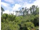 LS1791   145 Middlebrook Road, Millaa Millaa QLD 4886