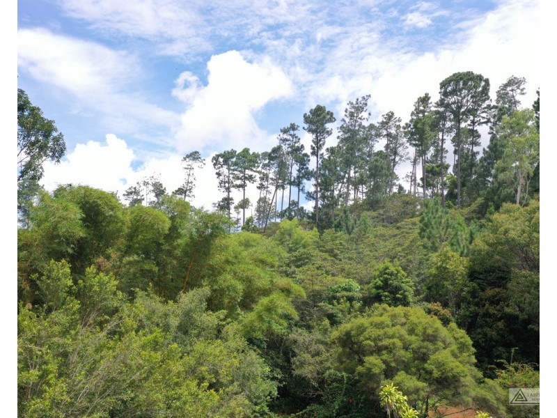 LS1791   145 Middlebrook Road, Millaa Millaa QLD 4886