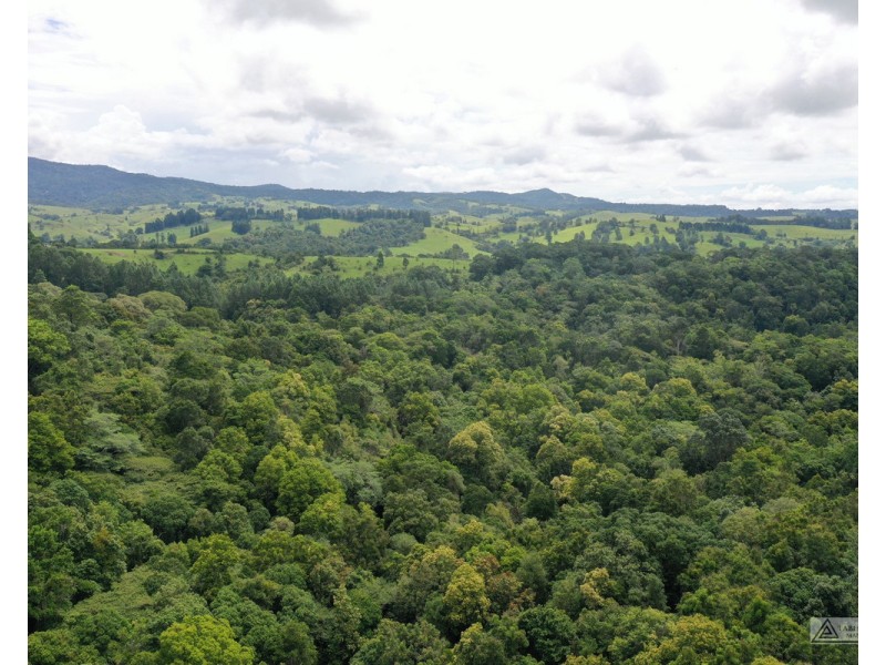 LS1791   145 Middlebrook Road, Millaa Millaa QLD 4886