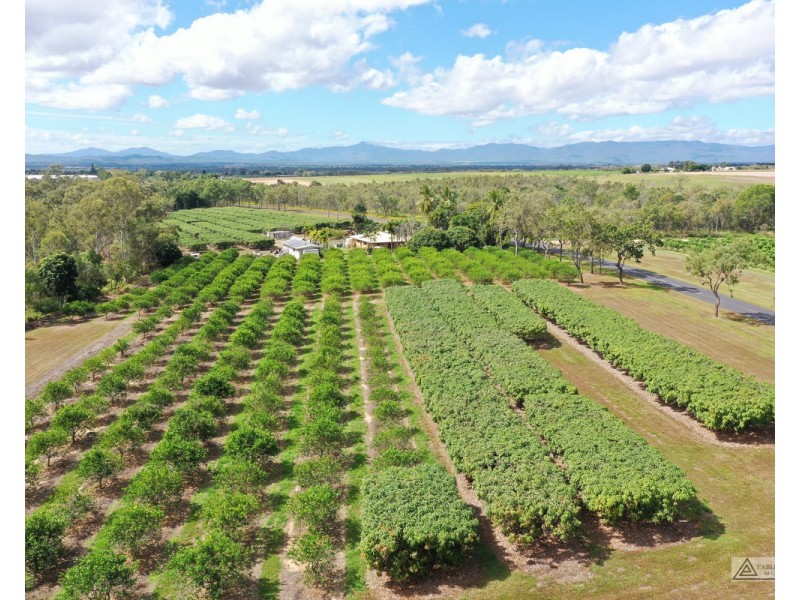 Paddys Green QLD 4880