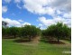 Paddys Green QLD 4880