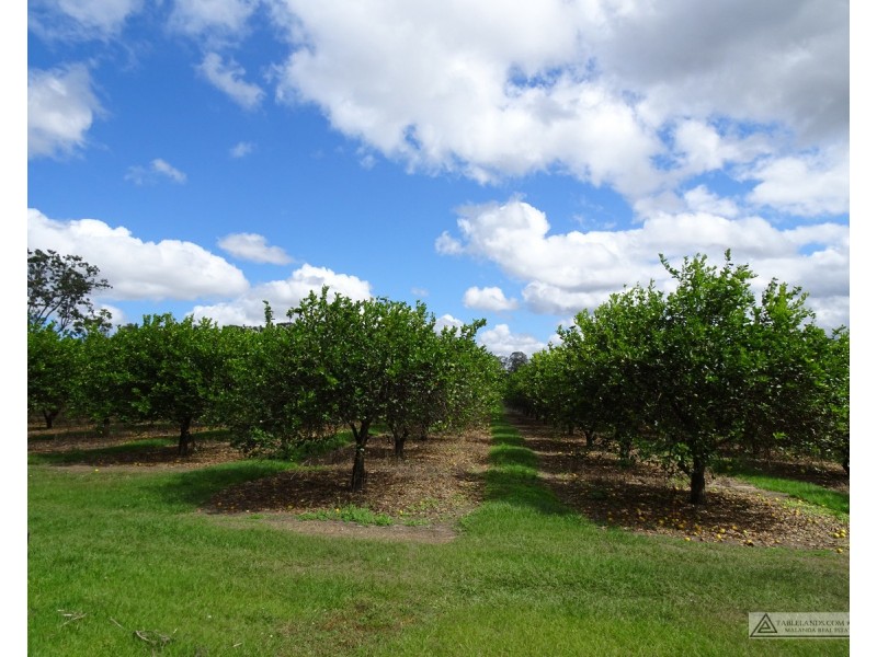 Paddys Green QLD 4880