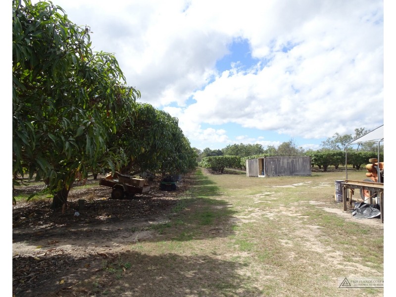 Paddys Green QLD 4880